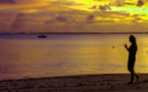 假期的社會實踐報告